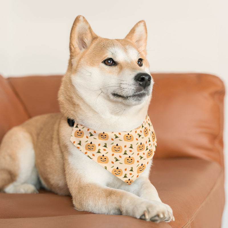 Pet Halloween Bandana Collar