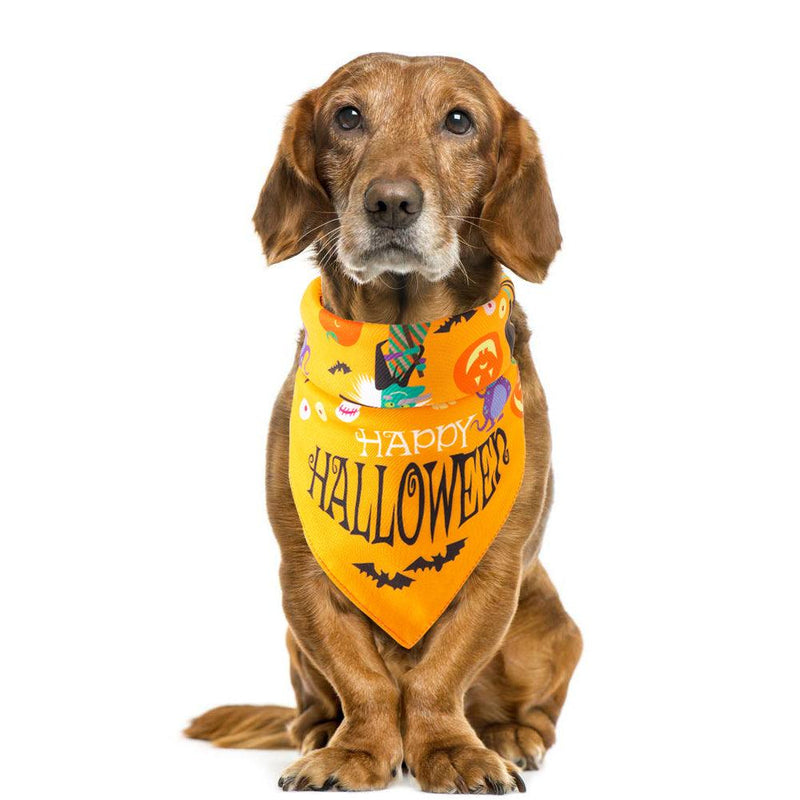 Spooky Paws Halloween Pet Saliva Towel by Dog Hugs Cat