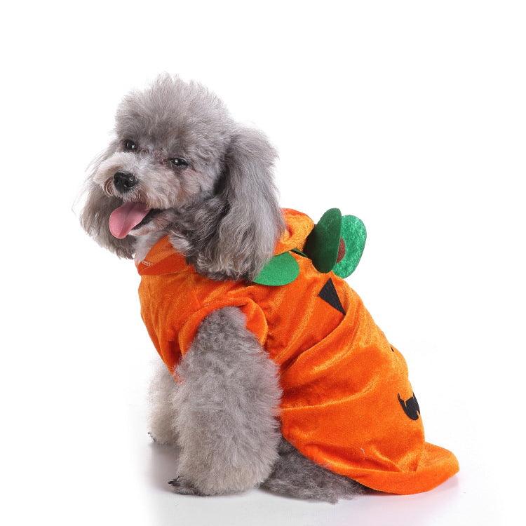 Spooky Festive Dog Costume by Dog Hugs Cat