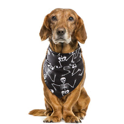 Spooky Paws Halloween Pet Saliva Towel by Dog Hugs Cat