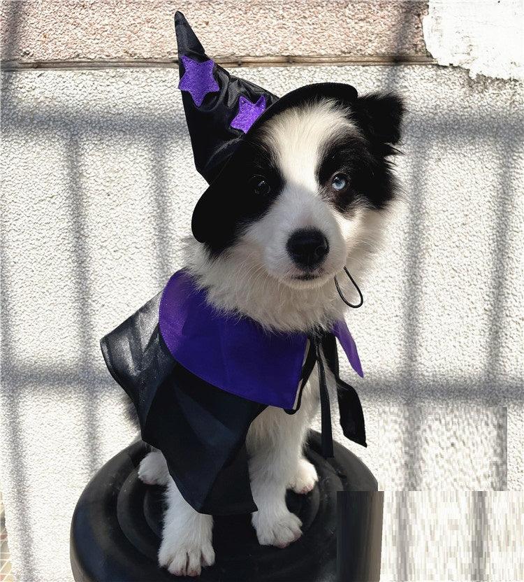 Enchanting Pet Halloween Wizard Costume Set by Dog Hugs Cat