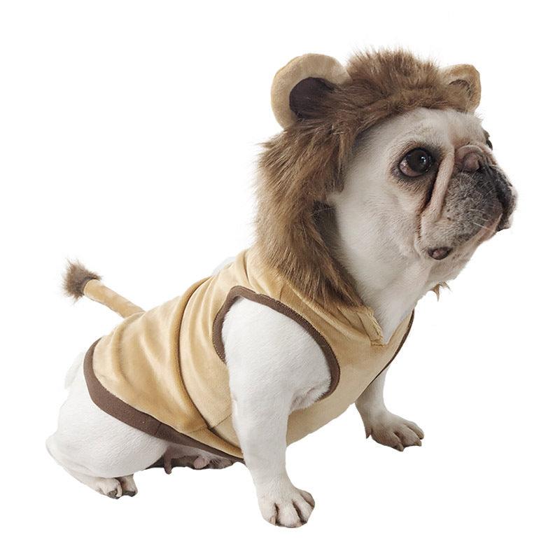 Pet Costume: Lion King Transformation Outfit For Dogs And Cats by Dog Hugs Cat