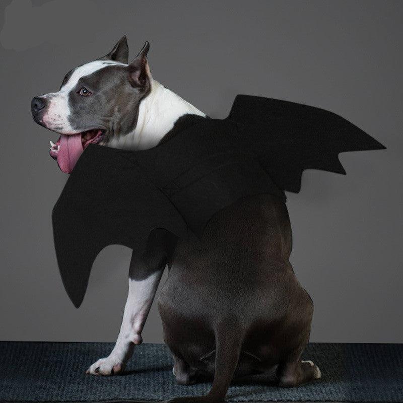 Shadow Wings Dog Costume by Dog Hugs Cat