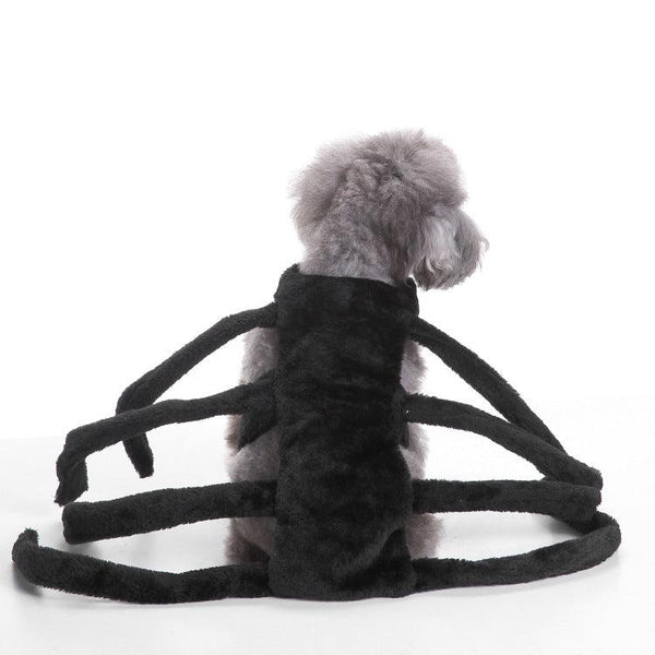 Spooky Festive Dog Costume by Dog Hugs Cat