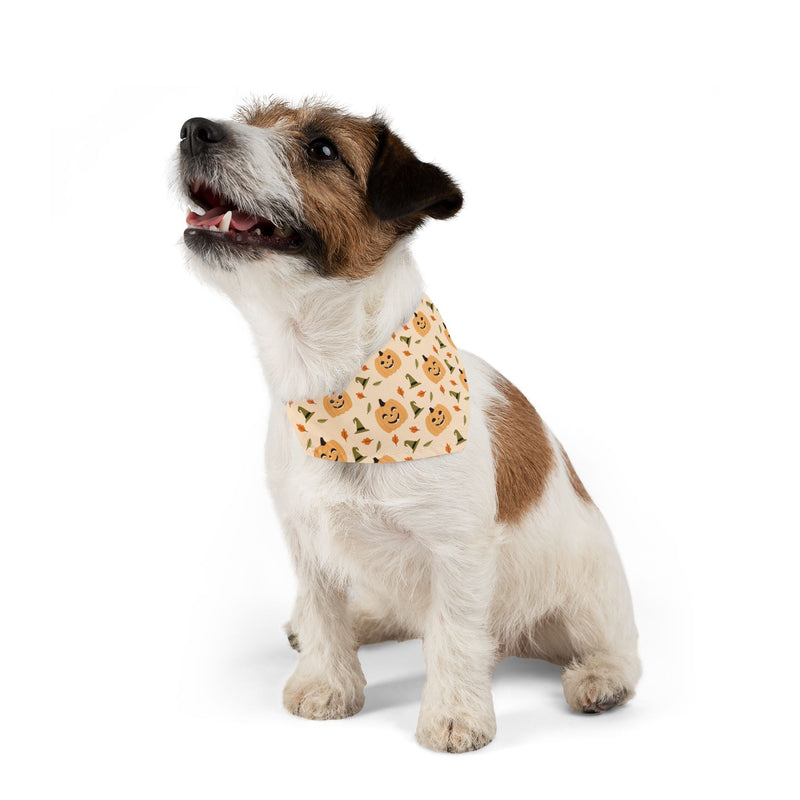 Pet Halloween Bandana Collar