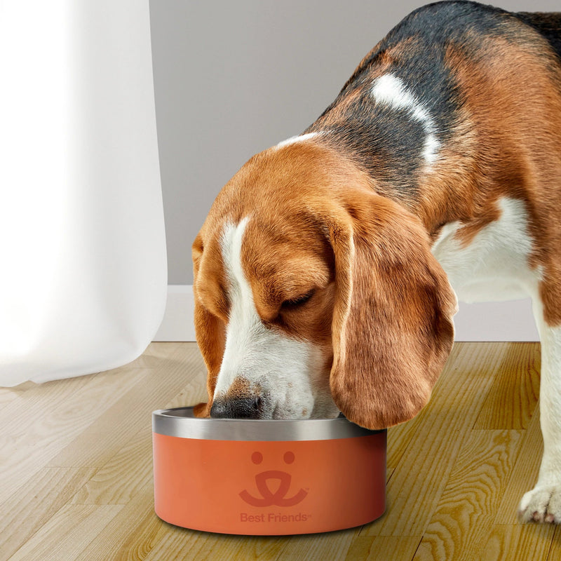 Best Friends Stainless Steel Bowl