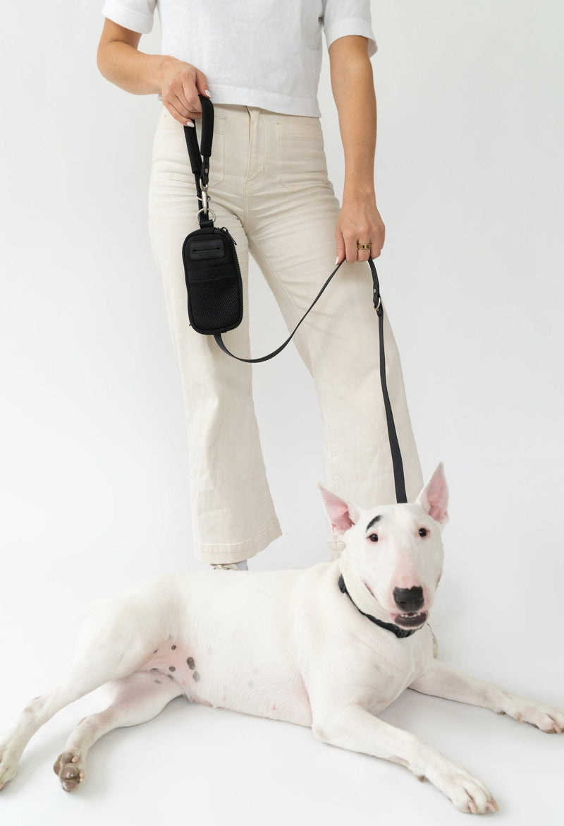 Walk Bag + Leash by Springer