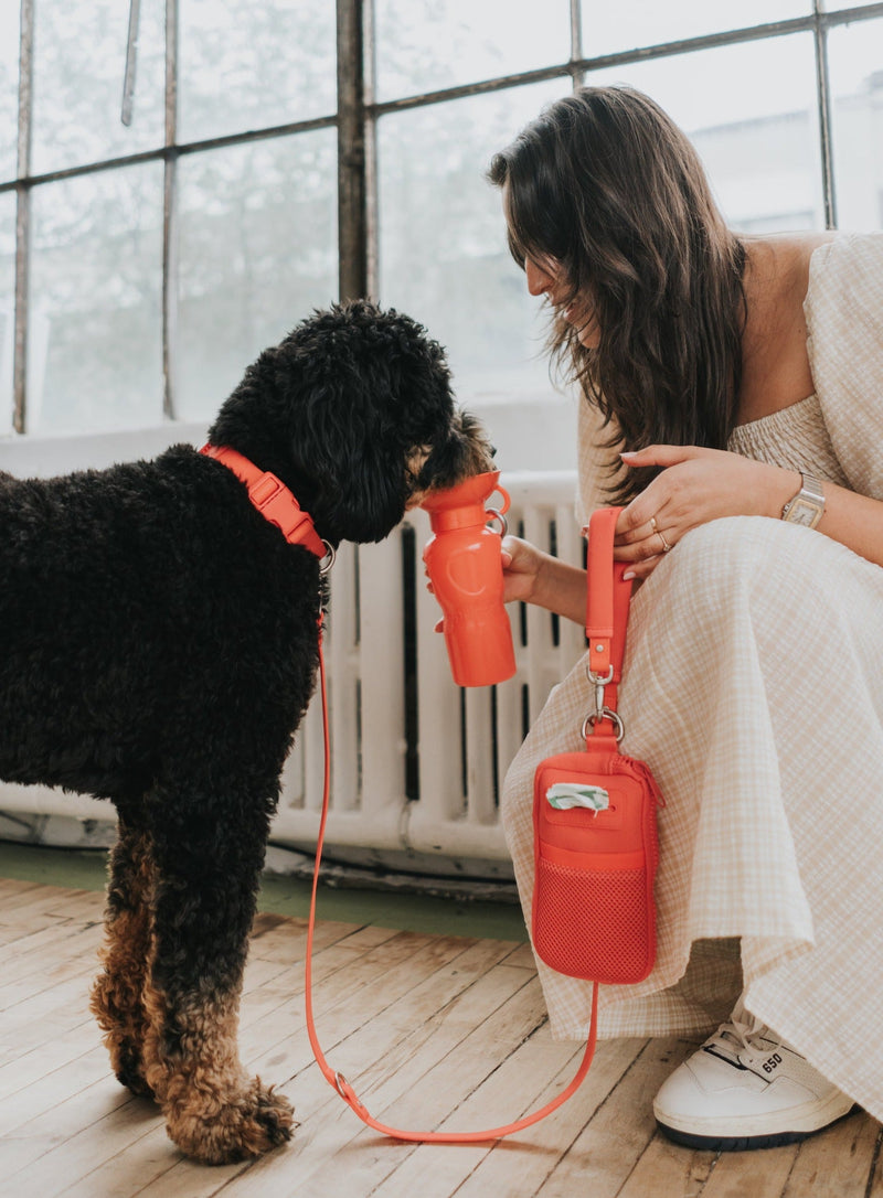 Walk Bag + Leash by Springer