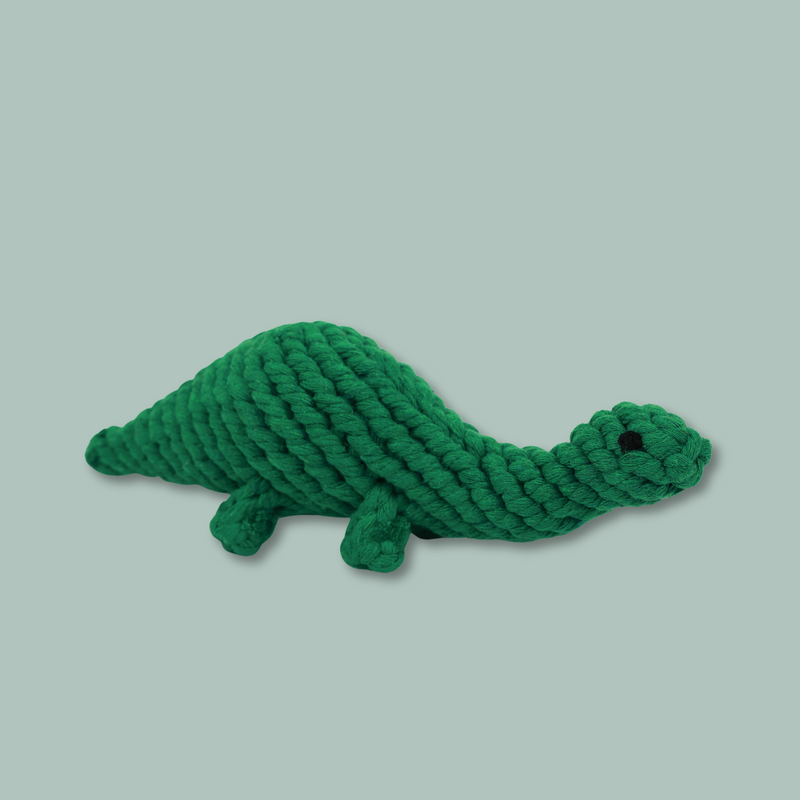 Rex the Green Dinosaur Rope Toy by Knotty Pawz