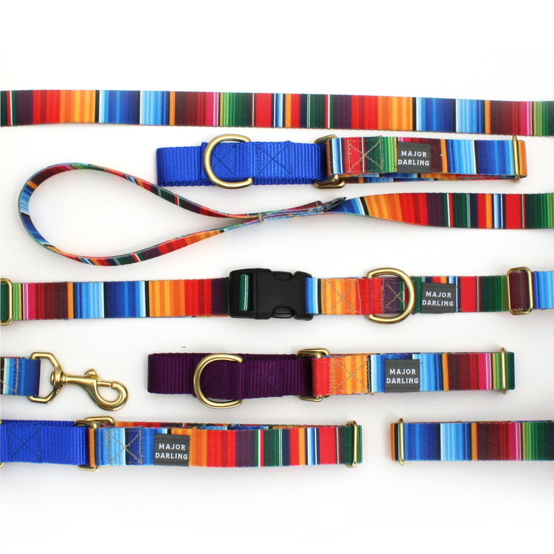 Not-So-Basic Leash in Serape by Major Darling