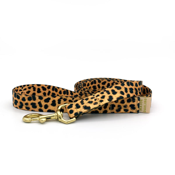 not-so-basic leash / leopard