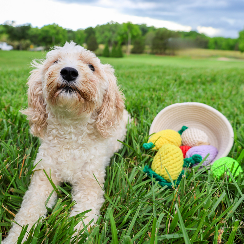 MarketVeg Rope Toys by Knotty Pawz