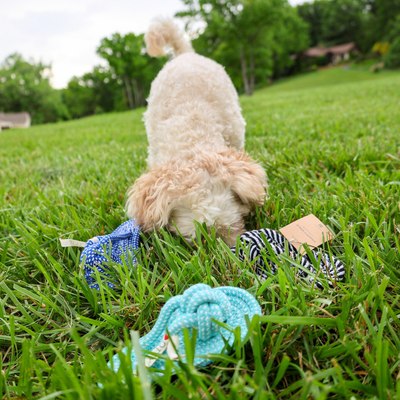 Slipper Rope Toys by Knotty Pawz