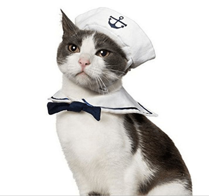 Adorable Nautical Pet Costume Set - Perfect For Halloween Cosplay! by Dog Hugs Cat