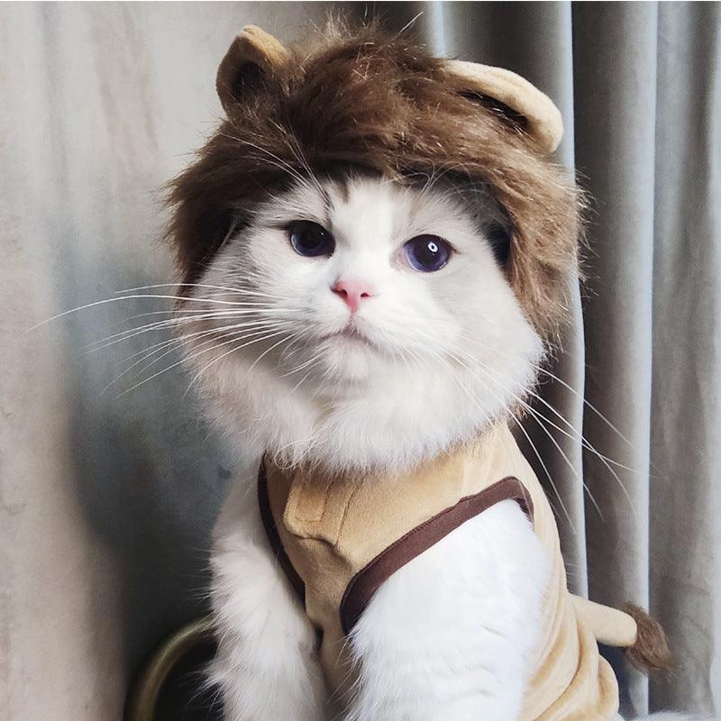 Pet Costume: Lion King Transformation Outfit For Dogs And Cats by Dog Hugs Cat