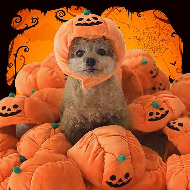 Funny Pumpkin Pet Hat - Cute Halloween Costume For Pets by Dog Hugs Cat