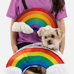 Rainbow - Matching Human Costume