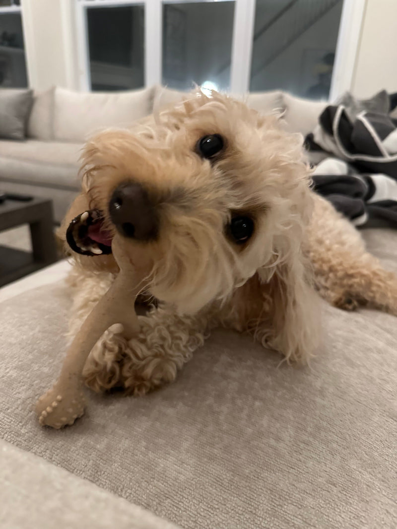 BetterBone TOUGH — Durable Eco-friendly All-Natural Dental Cleaning Chew for Aggressive Superchewer Dogs & Puppies by The Better Bone Natural Dog Bone
